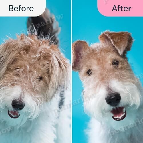 2 in 1 Deshedding Tool and Undercoat Rake for Long and Short Haired Dogs with Double Coat – view 4