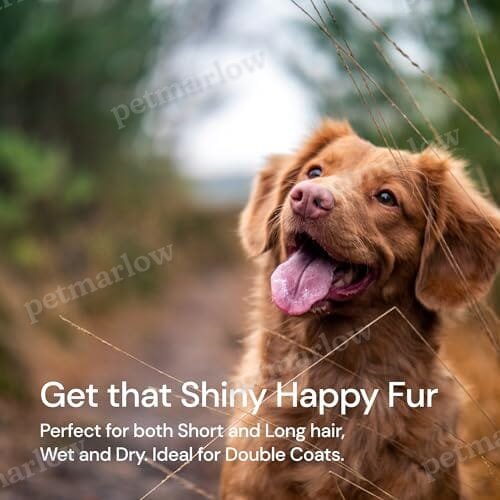 2 in 1 Deshedding Tool and Undercoat Rake for Long and Short Haired Dogs with Double Coat – view 6
