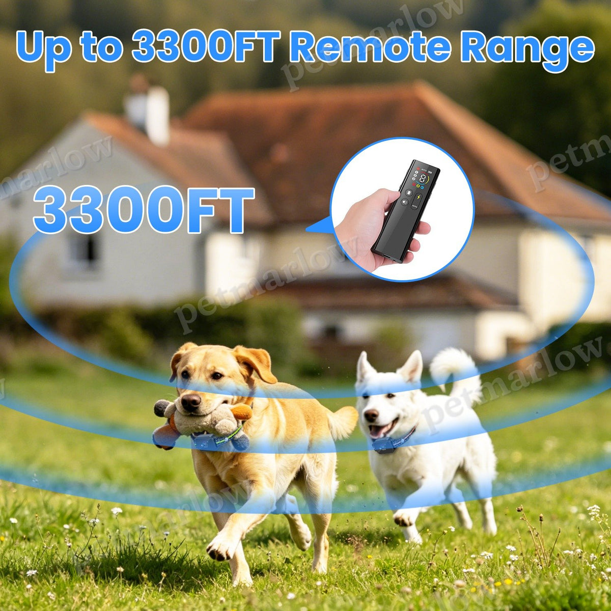 2-in-1 Dog Training and Bark Control Collar – view 6