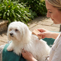 2-in-1 Pet Grooming & Hair Removal Comb for Fur, Furniture & Fabrics – Small / 7.5 × 6.9 ×2 2 cm