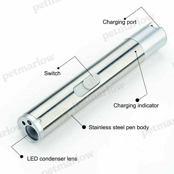 2-Pack 3-in-1 USB Rechargeable Pet Toy Laser Pen – view 3