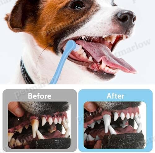2 Pack Dog and Cat Toothbrush Kit – view 6
