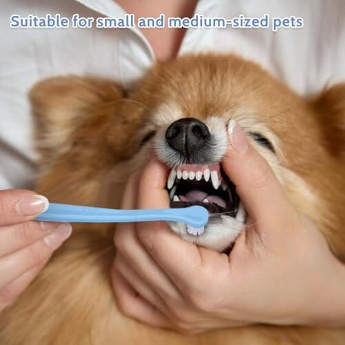 2 Pack Dog and Cat Toothbrush Kit – view 7