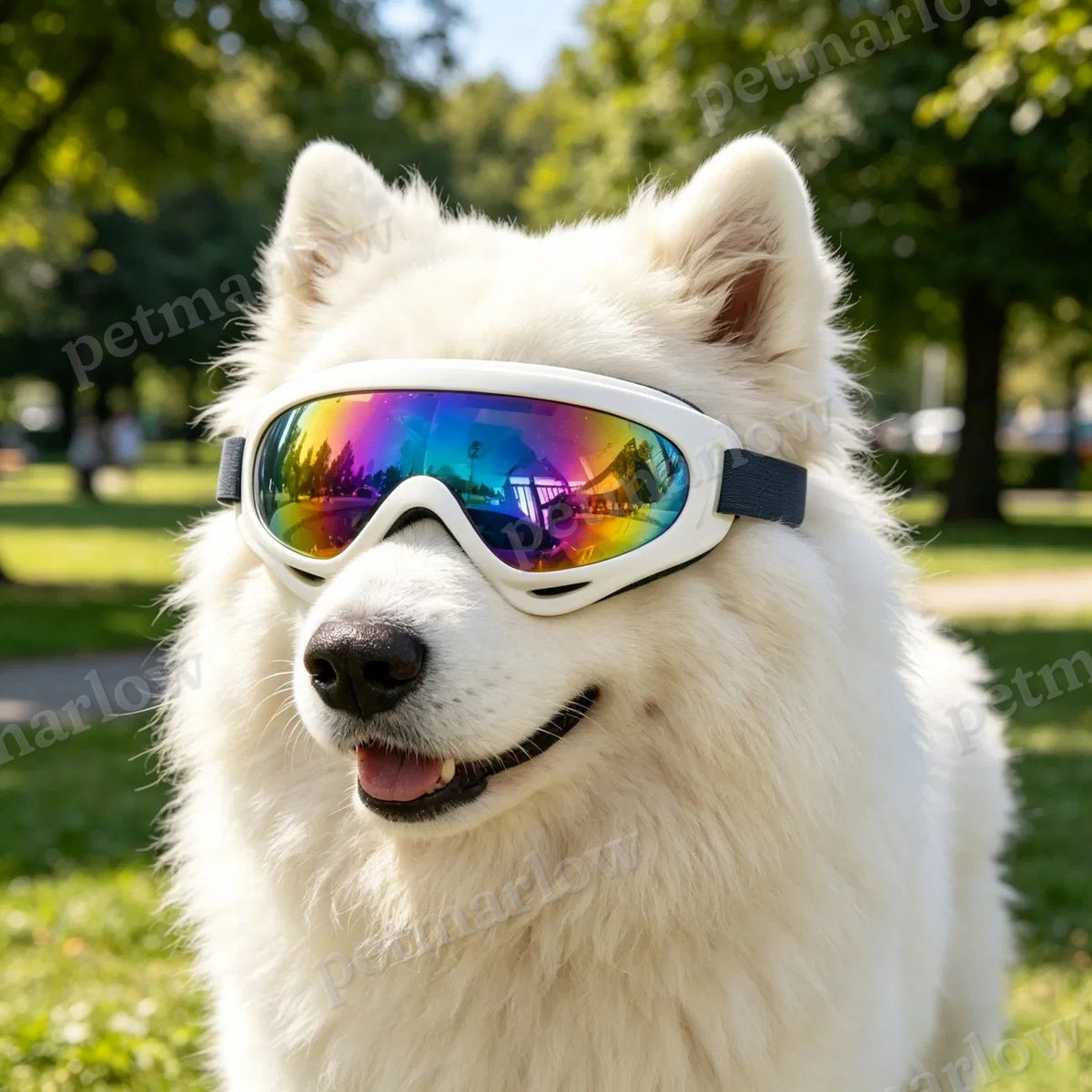 Dog Protective Goggles for Outdoor Adventures – view 6