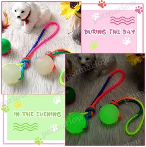 2 Pcs Dog Training Ball on Rope Glow in The Dark Ball – view 2