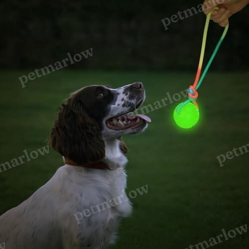 2 Pcs Dog Training Ball on Rope Glow in The Dark Ball – view 4