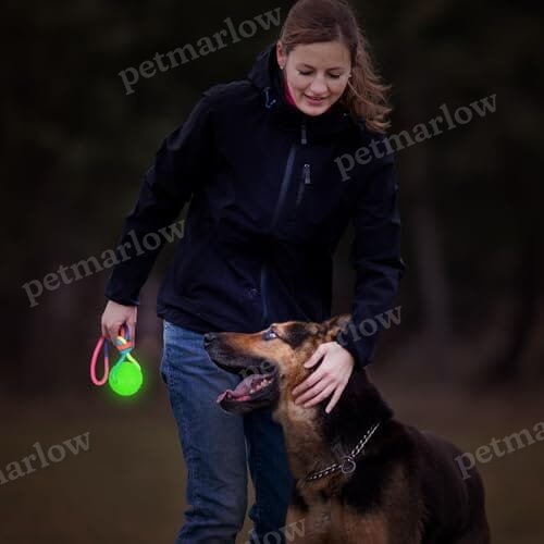 2 Pcs Dog Training Ball on Rope Glow in The Dark Ball – view 5