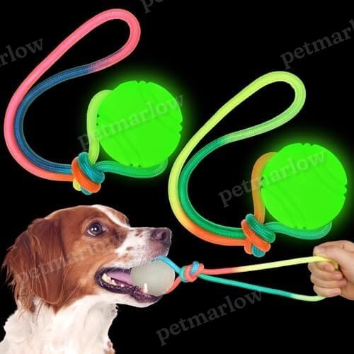 2 Pcs Dog Training Ball on Rope Glow in The Dark Ball – view 6