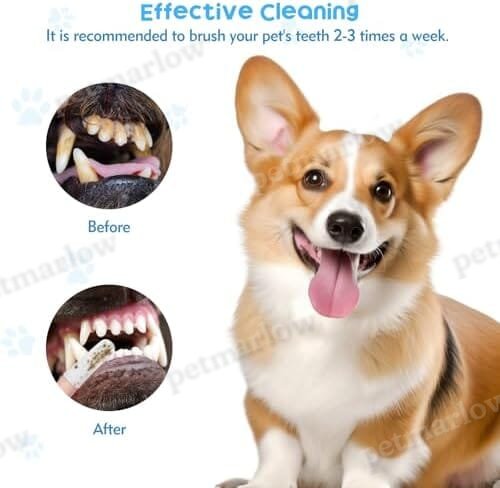 20Pcs Dog Toothbrush Soft Fabric Dog Finger Toothbrush – view 4
