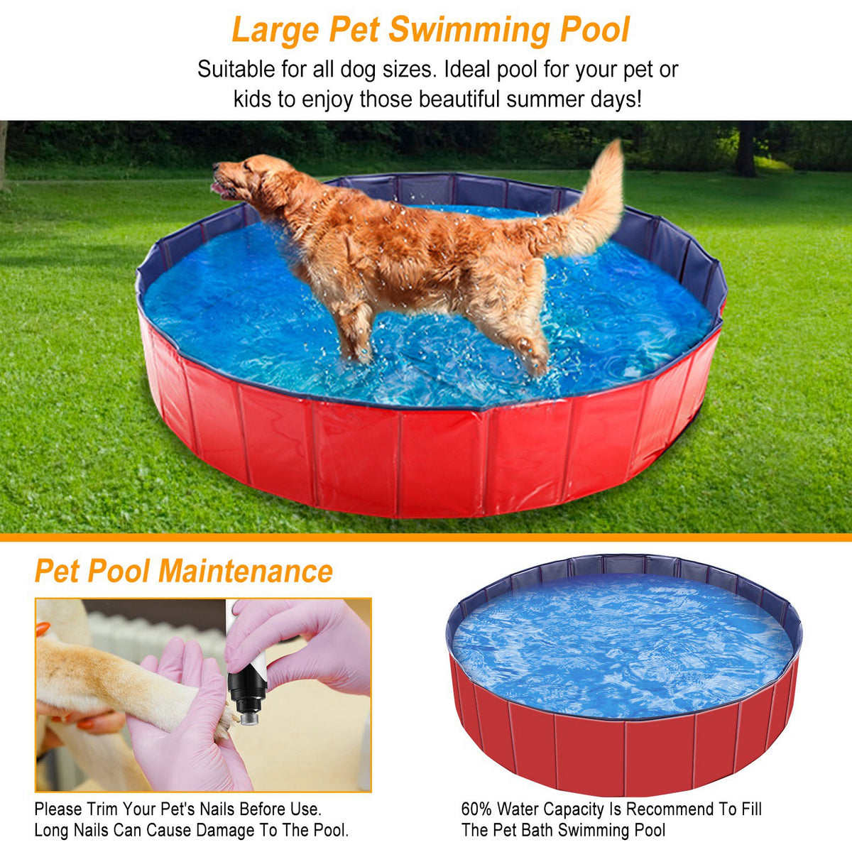 Foldable Pet Swimming Pool for Dogs and Cats – view 8
