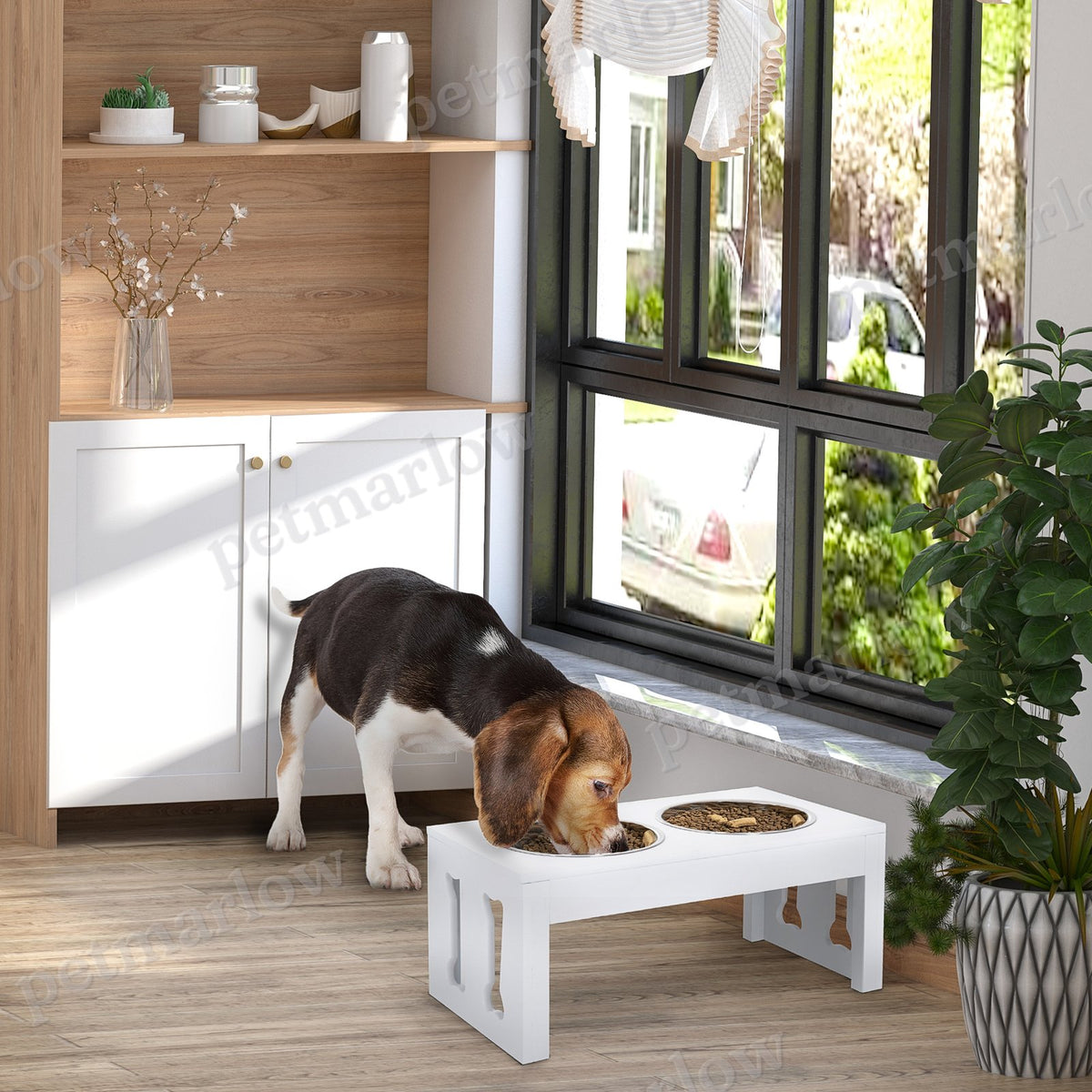 23" Modern Decorative Raised Dog Bowls – view 6