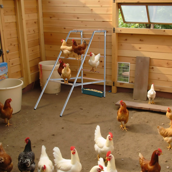 Outdoor Chicken Perch for Poultry Play and Rest – view 12