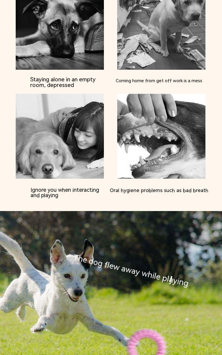 Pet Foam Ring Anti Bite Molar Toy – view 9