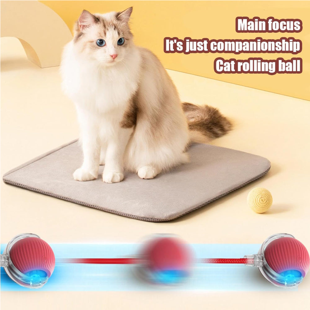 Interactive Rolling Cat Ball – view 12