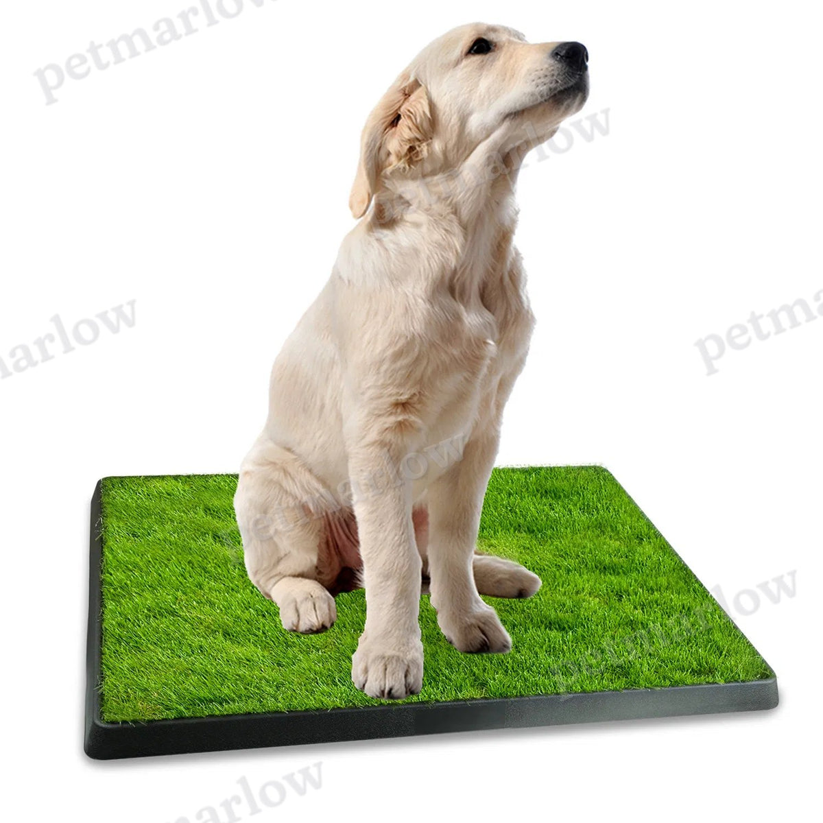 25"×20" Dog Toilet Indoor Puppy Training Pad – view 4