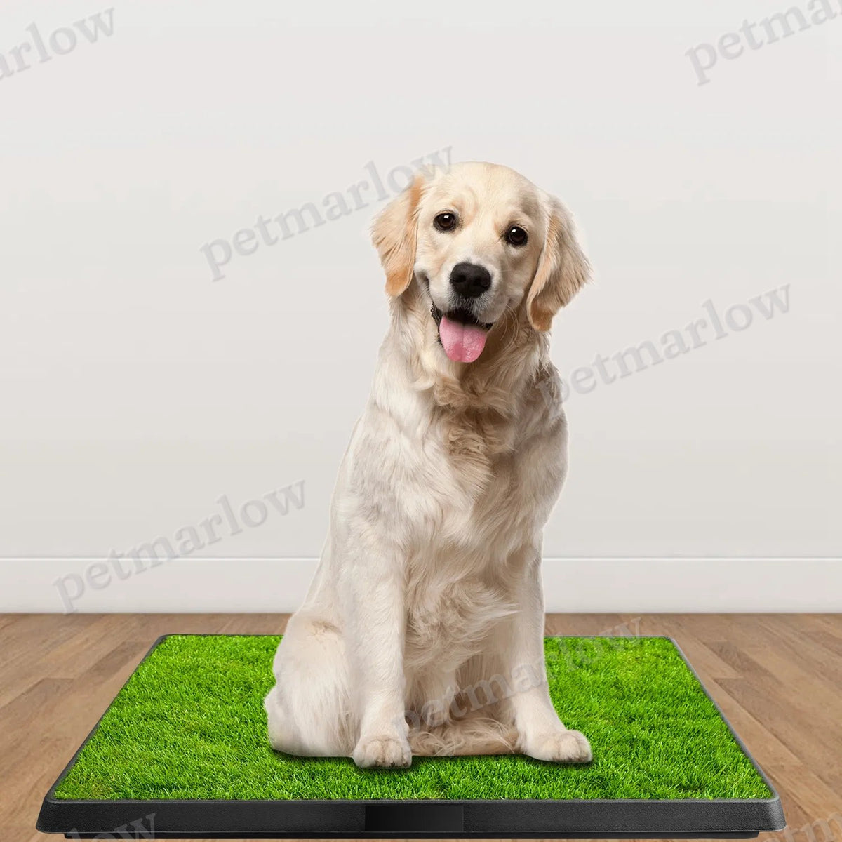 25"×20" Dog Toilet Indoor Puppy Training Pad – view 5