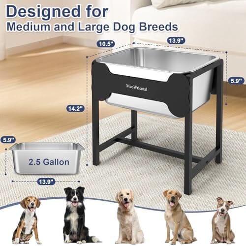 2.5 Gallon 14.2" Raised Stainless Steel Large Dog Water Bowl with Full Metal Stand for Relief Joint Pressure – view 7