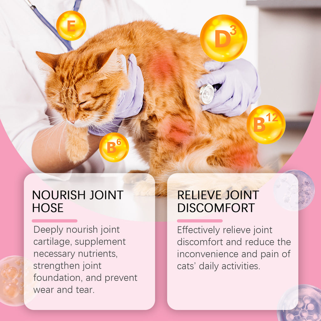 Cat Joint Health Support Tablets for All Breeds – view 7