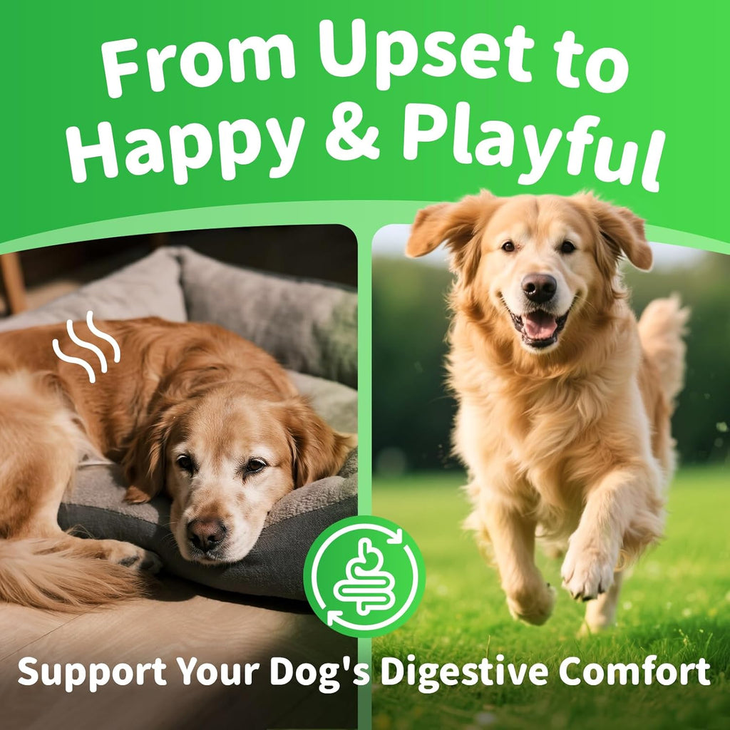 Dog Probiotics and Digestive Enzymes Chews for Gut Health – view 7