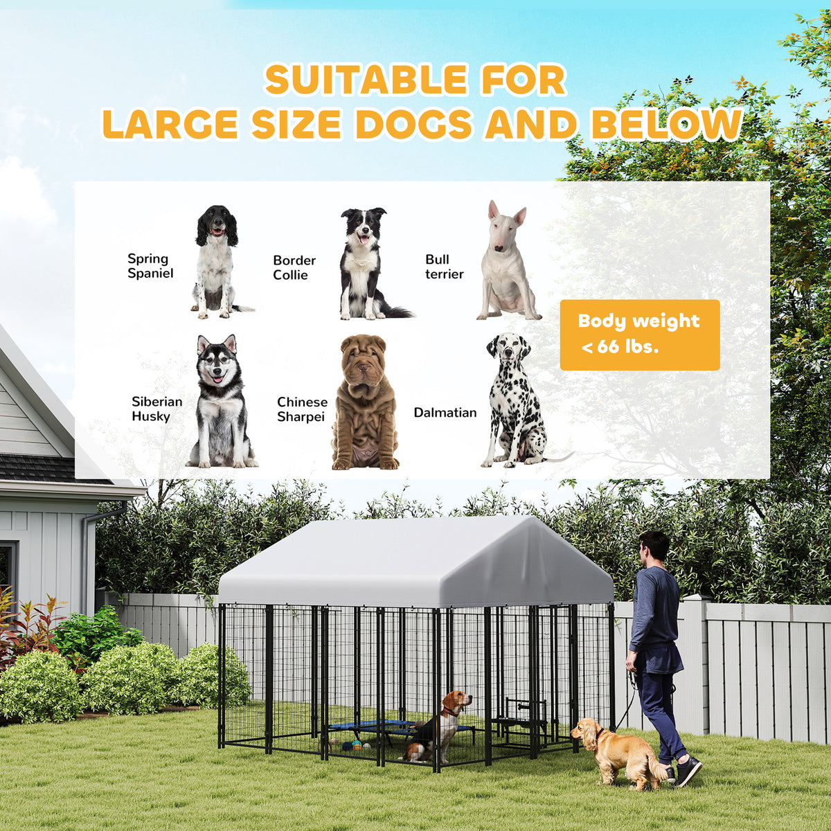 Outdoor Dog Kennel with Roof for Secure Play Area – view 9