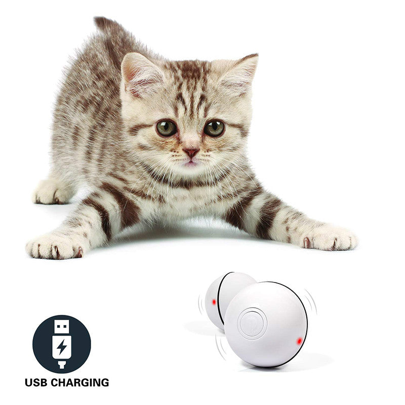 LED Laser Cat Toy Ball with Color Modes – view 12