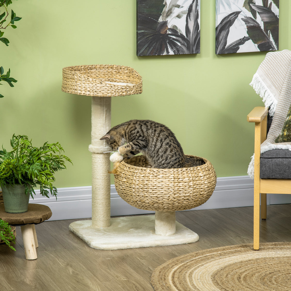 Elevated Cat Bed with Scratching Post for Play and Naps
