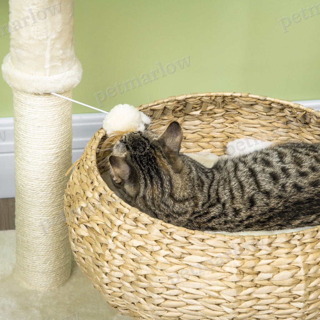 Elevated Cat Bed with Scratching Post for Play and Naps – view 5