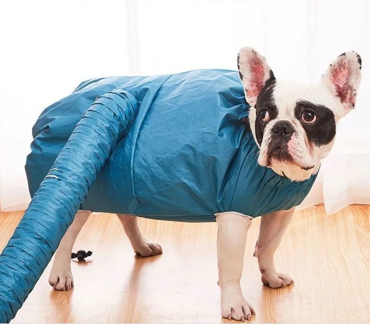 Automatic Drying Bag for Quick Drying Pets – view 8