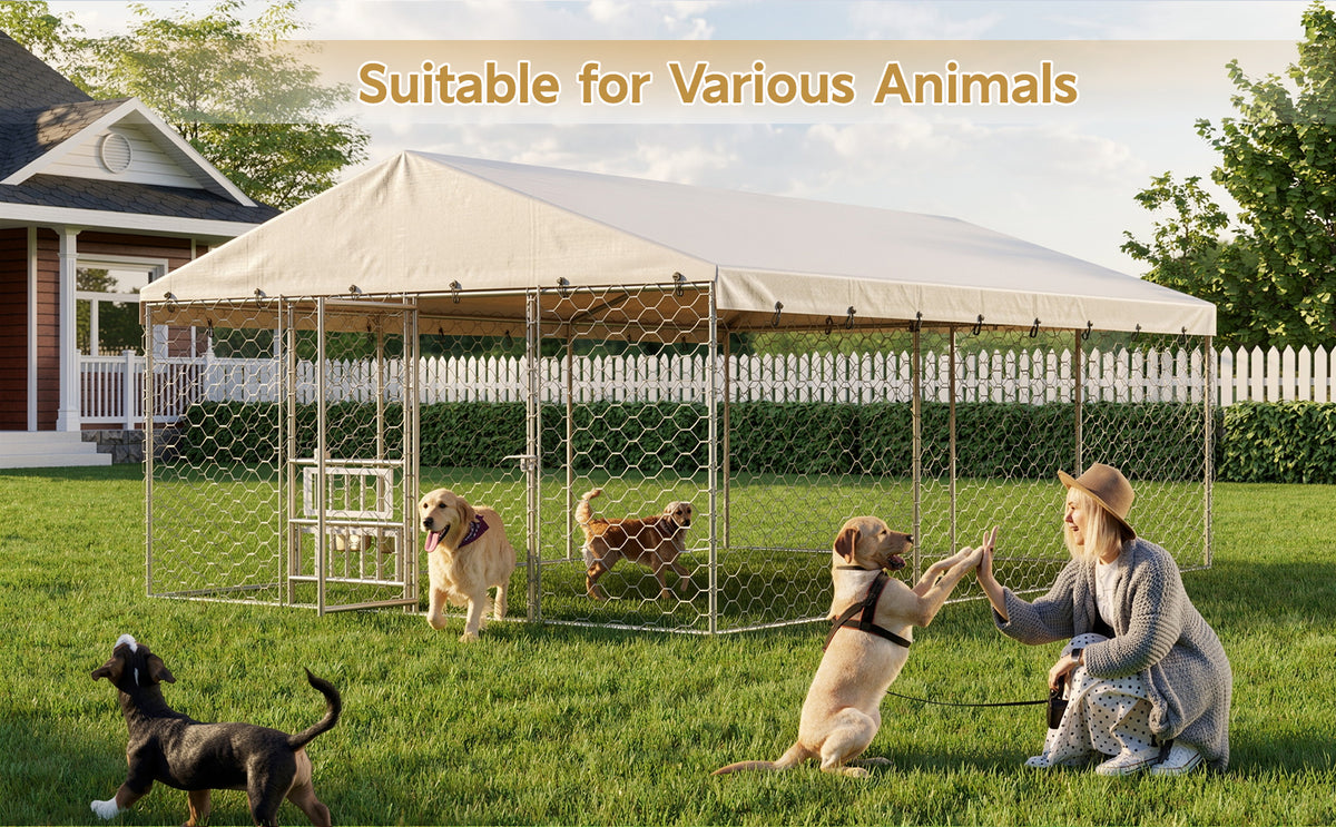 Large Outdoor Dog Kennel with Canopy for Comfortable Living Space – view 10