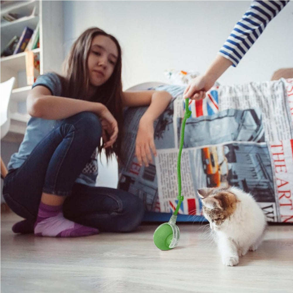 Interactive Electric Rolling Ball Toy for Dogs and Cats – view 8