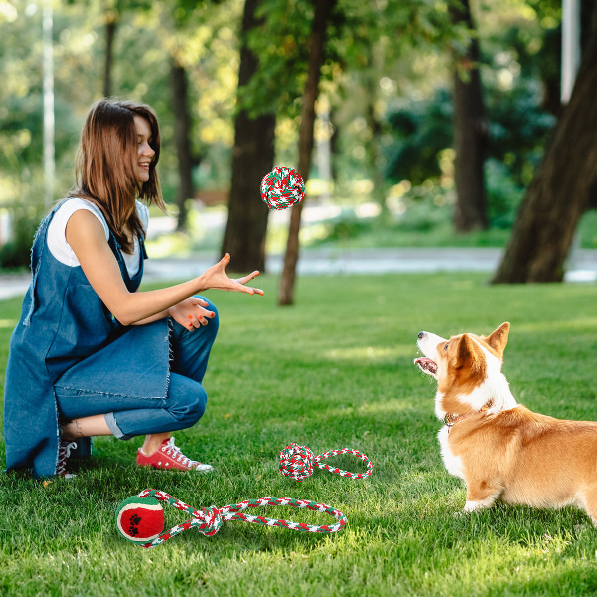 Christmas Rope Chew Toys for Dogs, 5-Pack