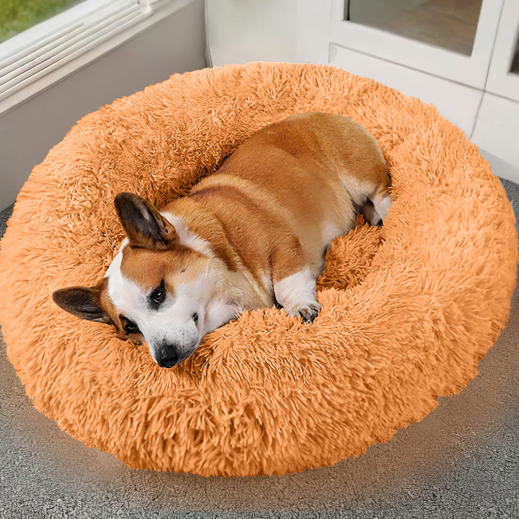 Cozy Plush Dog Bed with Supportive Rim – view 14