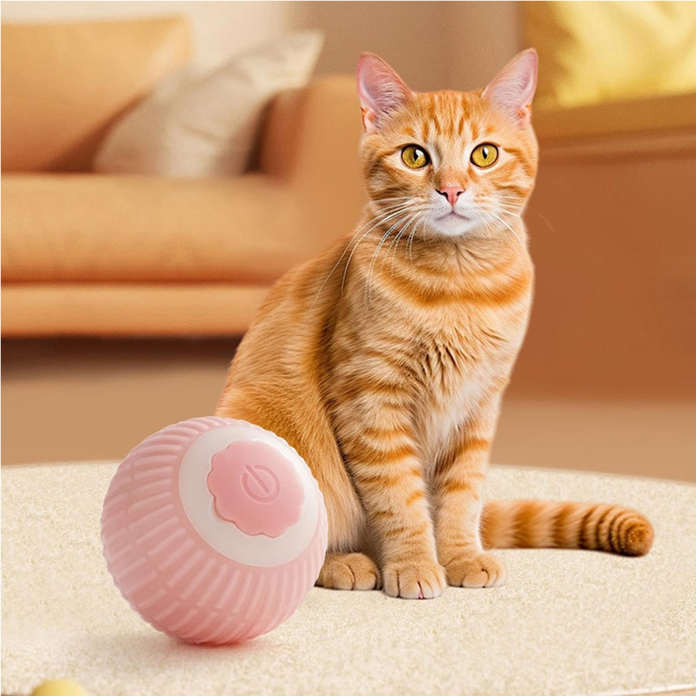 Electric Interactive Rolling Dog Cat Ball Toy – view 11