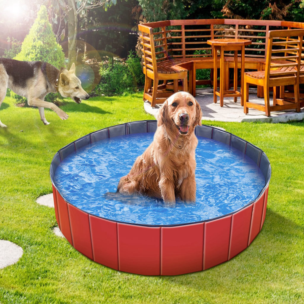 Foldable Pet Swimming Pool for Dogs and Cats – view 7