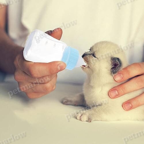 2pcs Kitten Milk Bottle Kit 120ml Puppy Feeding Bottle for Puppies Kitten – view 4