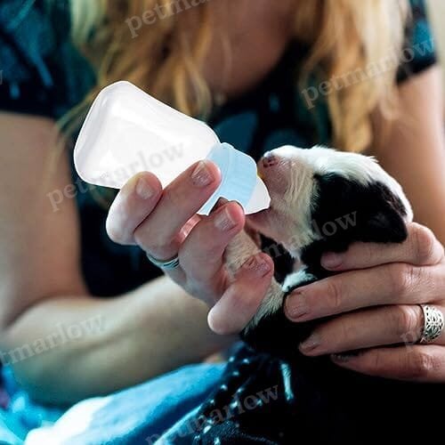 2pcs Kitten Milk Bottle Kit 120ml Puppy Feeding Bottle for Puppies Kitten – view 5