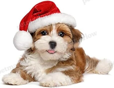2Pcs Mini Dog Santa Hat for Dog – view 2
