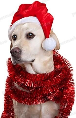2Pcs Mini Dog Santa Hat for Dog – view 3