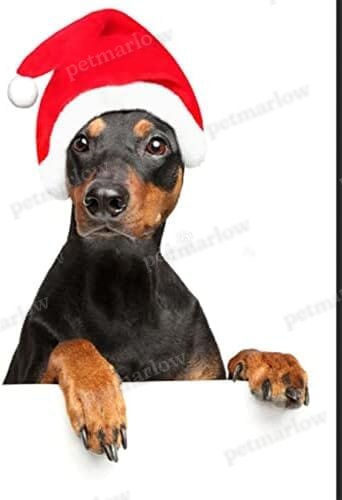 2Pcs Mini Dog Santa Hat for Dog – view 4