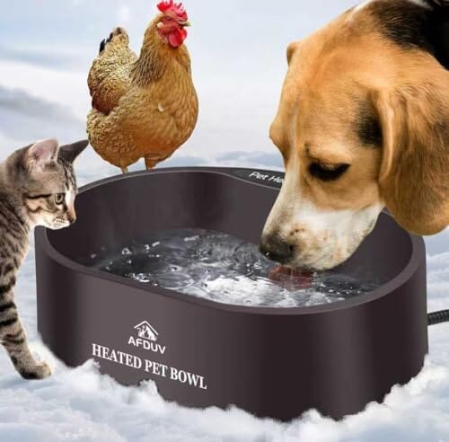 3.7L Automatic Heated Dog Bowl Outdoor with Anti Chew Cord