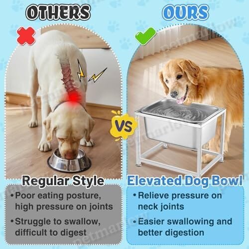 3 Gallons Large Elevated Dog Water Bowl - 11.5'' H Sturdy Raised Dog Stainless Steel Bowl with Stand – view 6