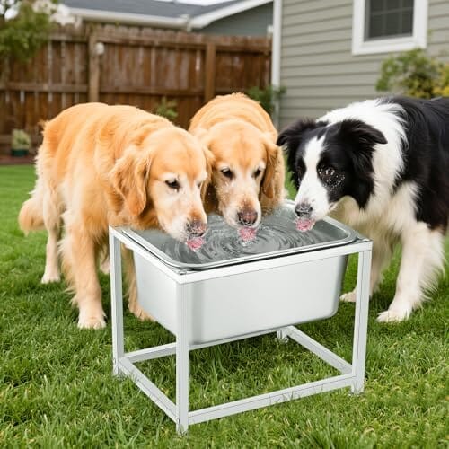 3 Gallons Large Elevated Dog Water Bowl - 11.5'' H Sturdy Raised Dog Stainless Steel Bowl with Stand – view 7