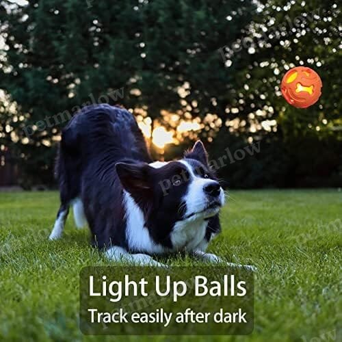3-Pack Interactive Light up Balls Rubber Durable Fetch Training Balls – view 4
