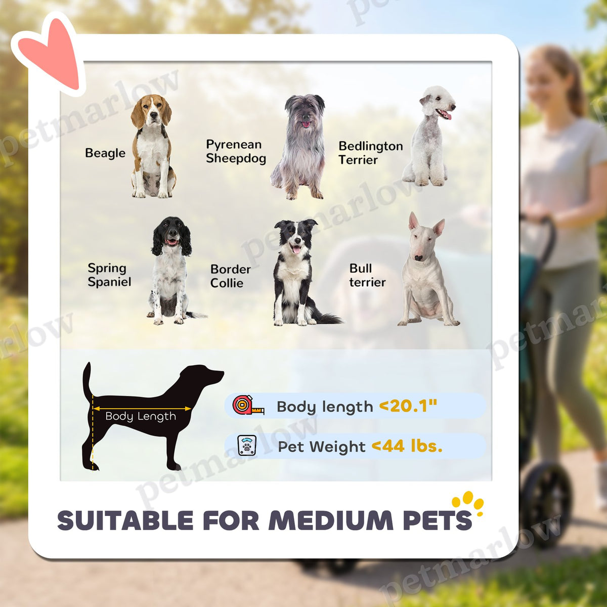 3 Wheel Pet Stroller for Medium Dogs – view 4