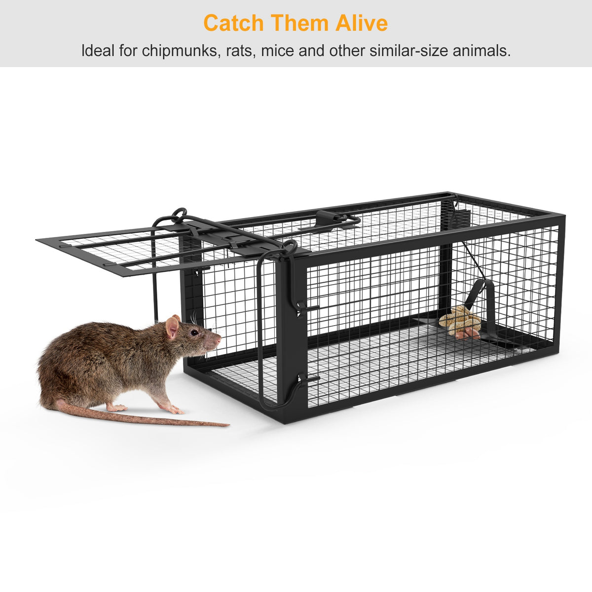 Humane Live Rodent Trap Cage for Mice Control – view 7