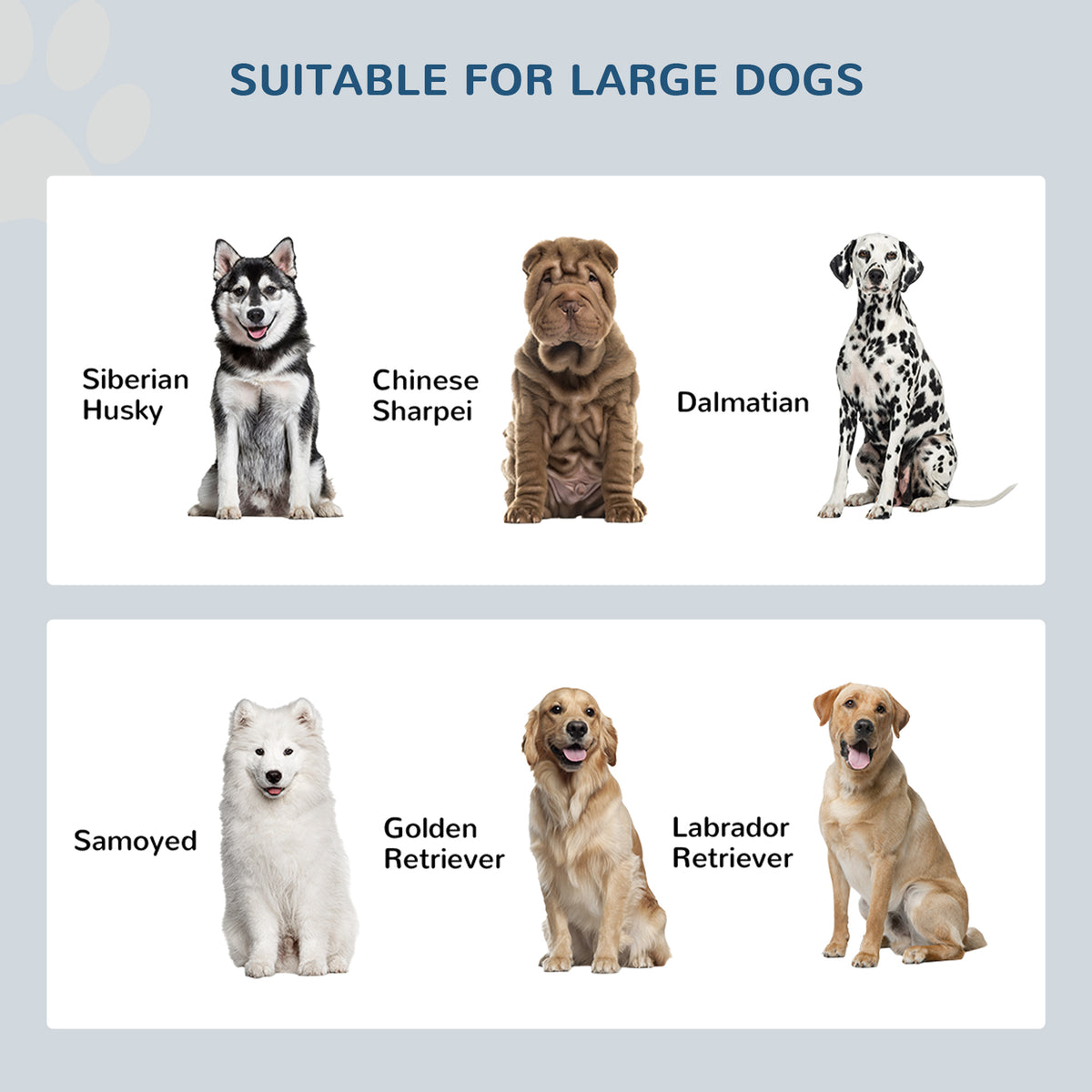 Elevated Dog Bowls with Storage Cabinet for Organized Feeding – view 7
