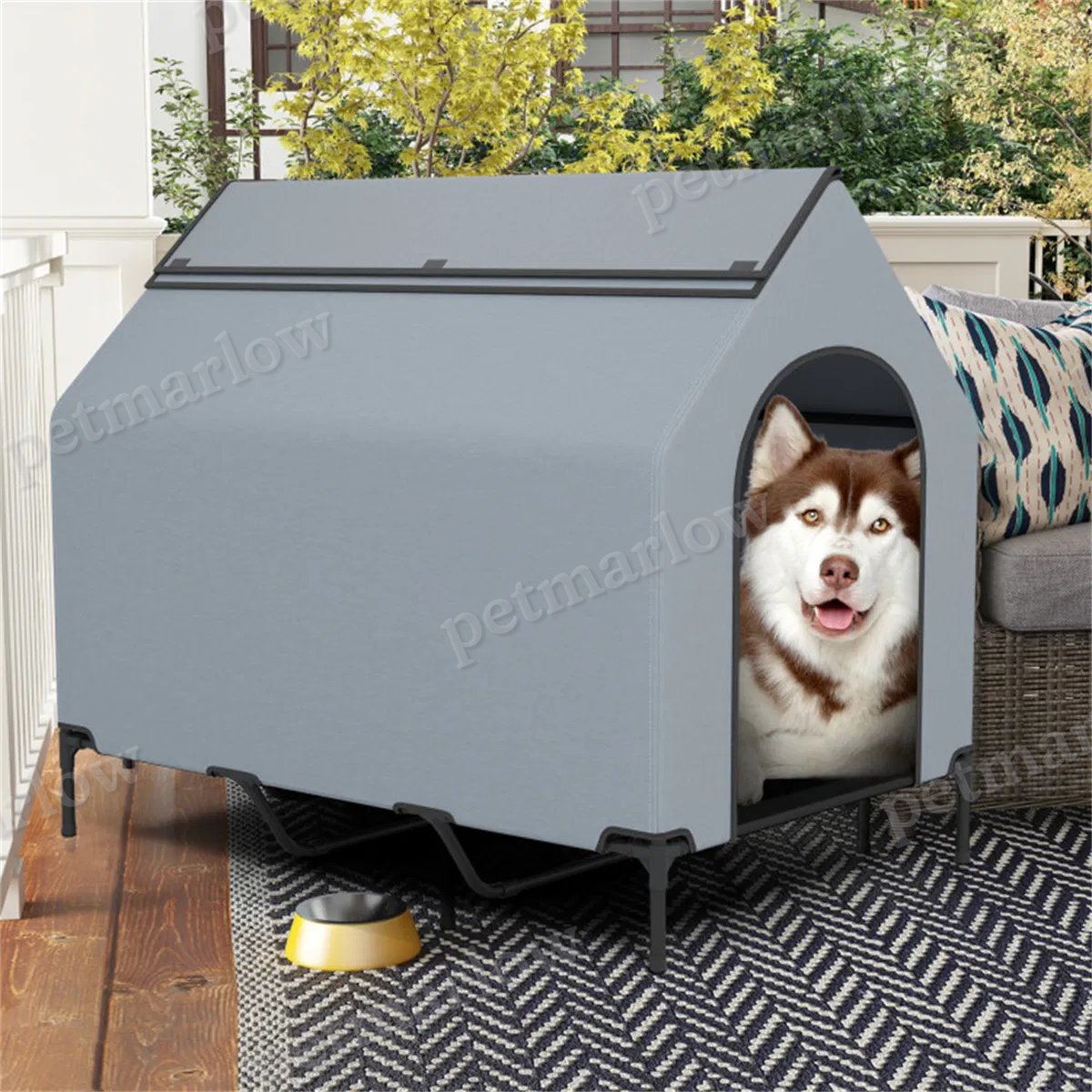 Elevated Pet House with Windows for Comfort and Protection – view 4