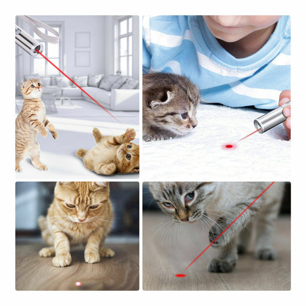 2-Pack 3-in-1 USB Rechargeable Pet Toy Laser Pen – view 13