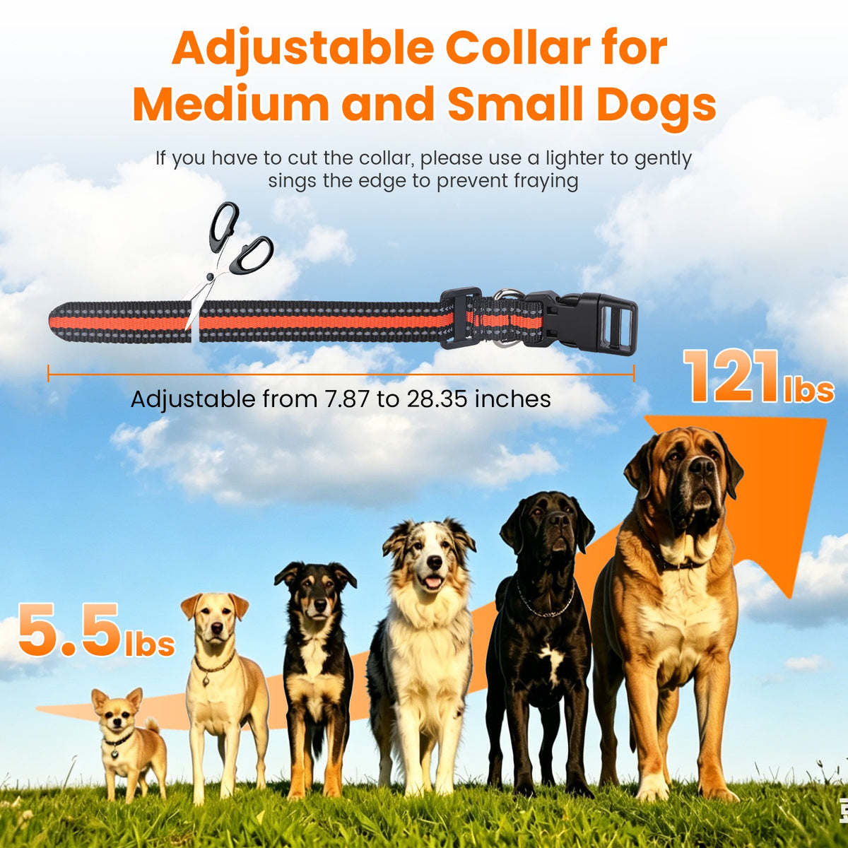 Dog Training Collar With Remote for Effective Training – view 10