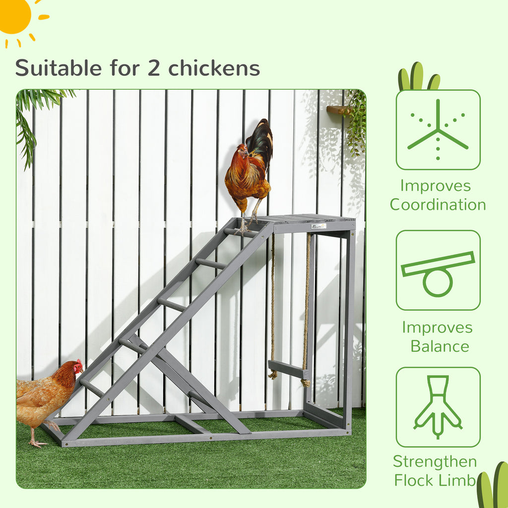 Chicken Activity Play Set for Healthy and Happy Chickens – view 9